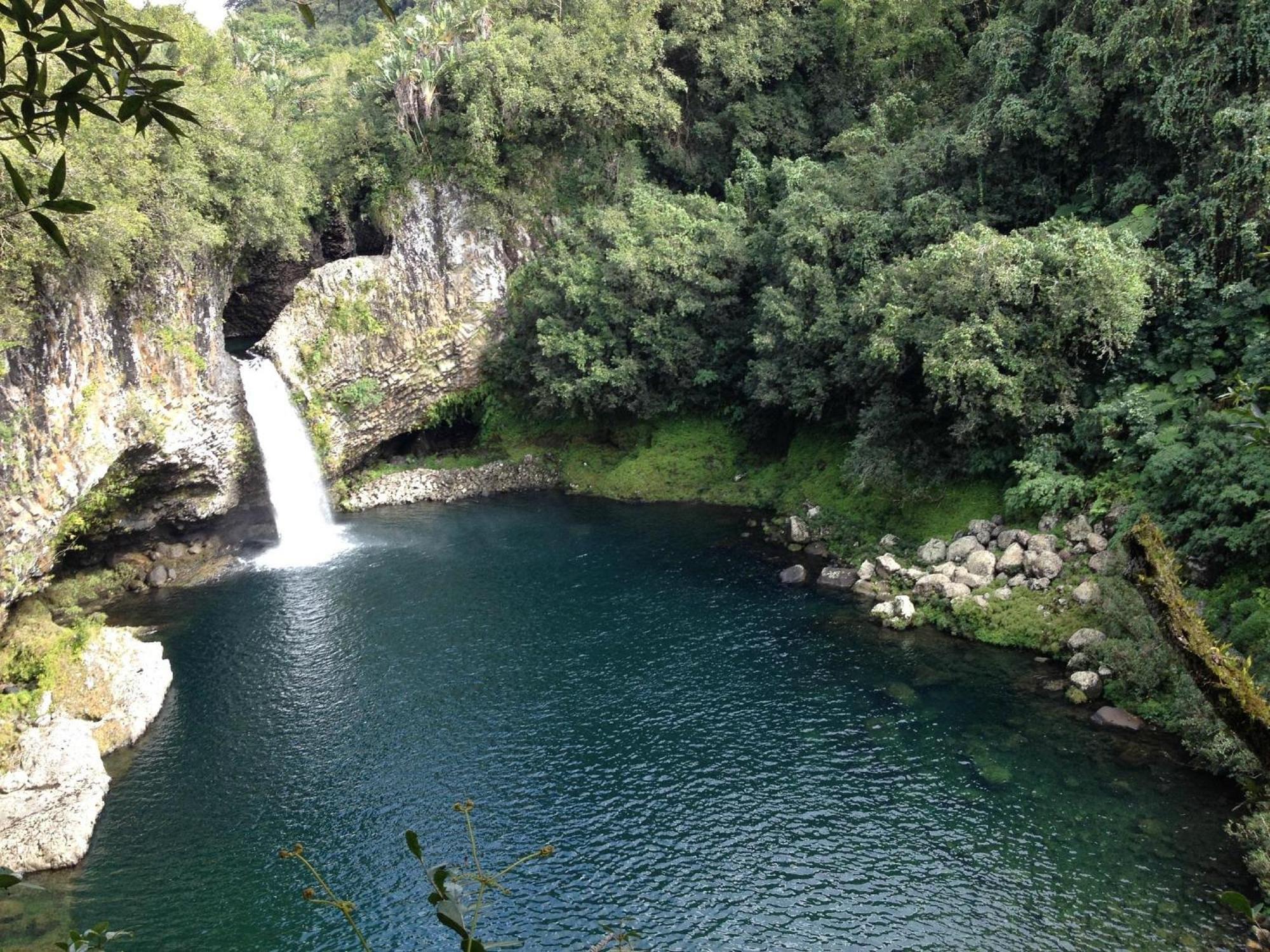 Le Beau Vallon 1- Jacuzzi Privatif Et Piscine Chauffee Partagee Saint-Benoît Exteriör bild